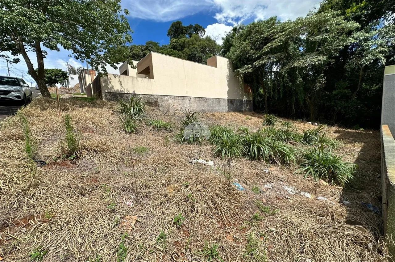 Vendas Terreno Pato Branco PR - Foto 4
