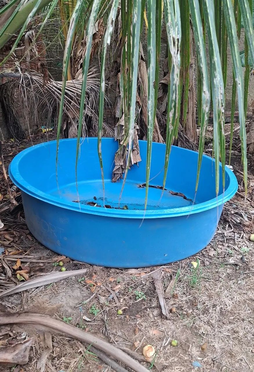 Piscina polietileno