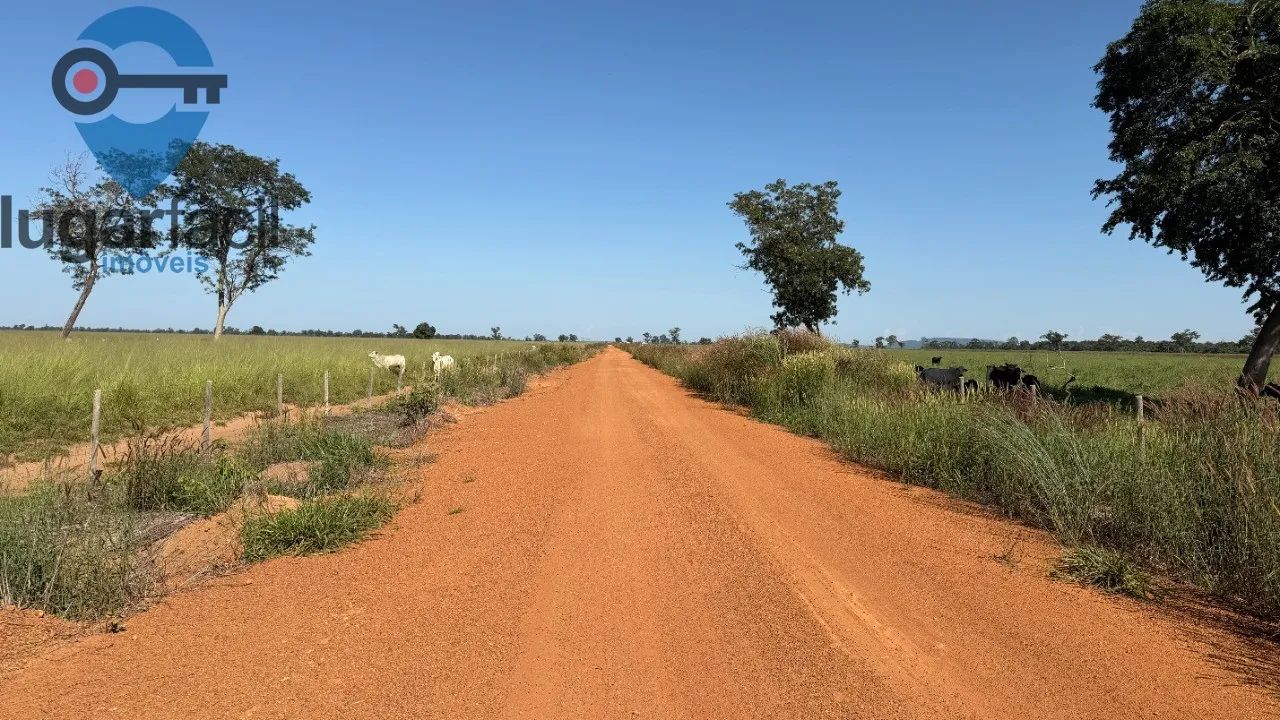 FAZENDA MUNICIPIO JUSSARA - Foto 4