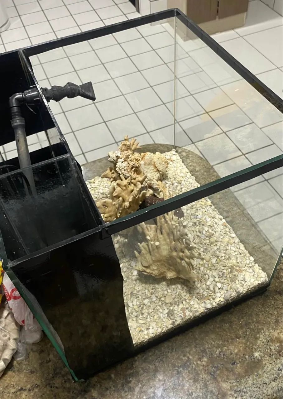 AQUÁRIO NANO SUMP 64 LITROS- SOMENTE VENDA - Foto 3