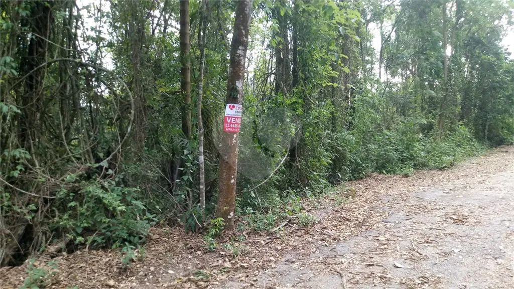 Terreno à venda em Santa inês - SP - Foto 2