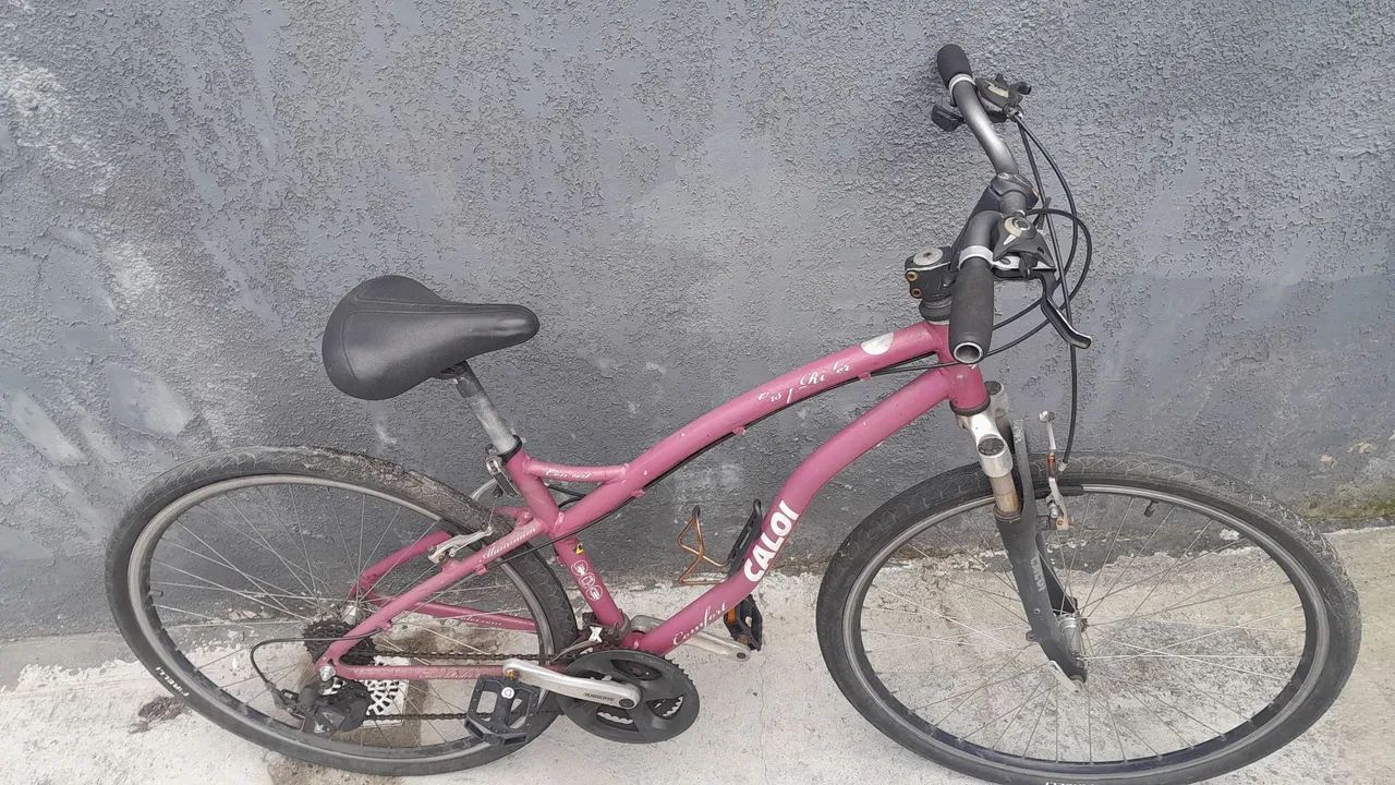 Bicicleta calloi 