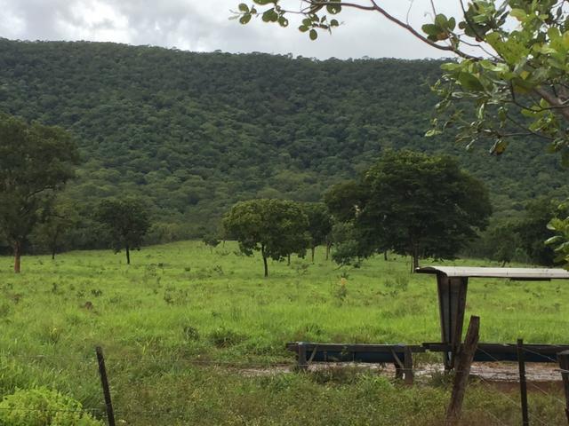 Chácara/Sítio 25 Hectares - Foto 12