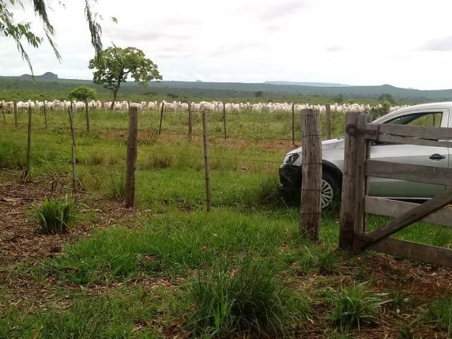 Fazenda 1.940 hectares na Estrada do Manso a 50 km de Cuiabá - Foto 4
