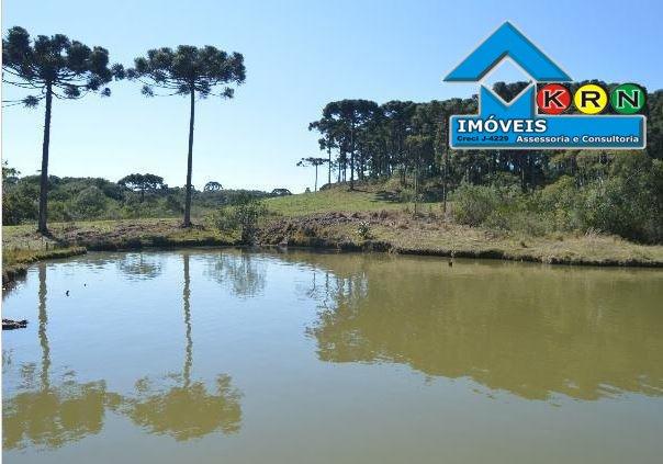 Fazenda - Fazenda a Venda no bairro Área Rural de Ponta Grossa - Ponta Grossa, P... - Foto 20