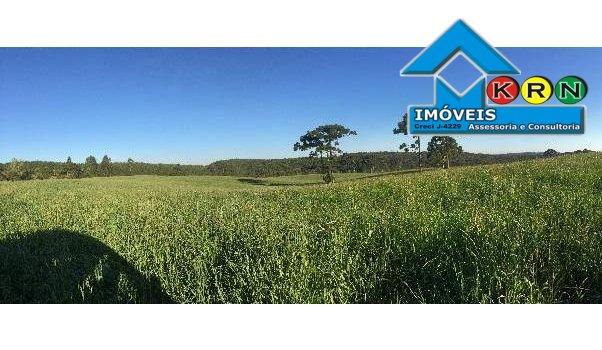 Fazenda - Fazenda a Venda no bairro Área Rural de Ponta Grossa - Ponta Grossa, P... - Foto 18