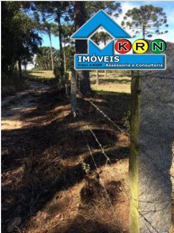 Fazenda - Fazenda a Venda no bairro Área Rural de Ponta Grossa - Ponta Grossa, P... - Foto 7