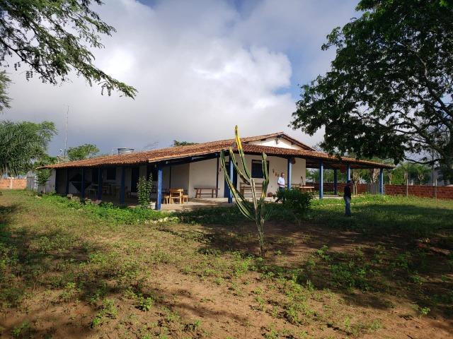 Haras com 1.270 tarefas há 72 Km de Feira de Santa - Foto 5