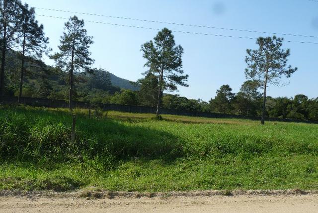 Terreno Maravilhoso na Praia do Estaleiro - Foto 2