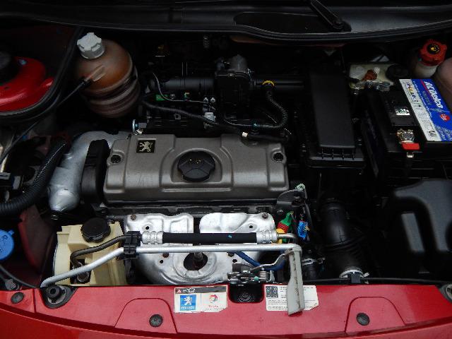 Raridade*Peugeot 207 XR 1.4 2009 impecável*novíssimo - Foto 9
