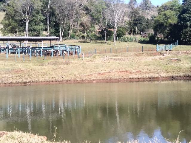 Otima fazendinha - Foto 4