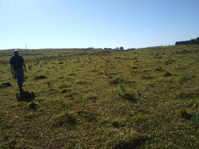 Otima fazendinha - Foto 11
