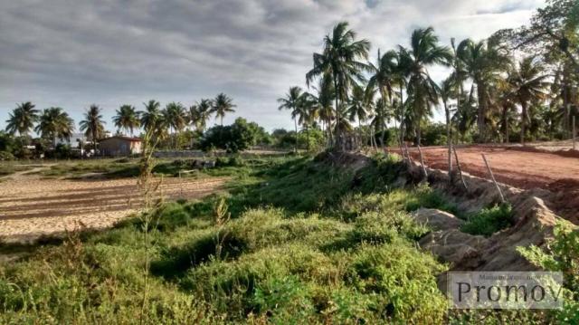 Terreno residencial à venda, Mosqueiro, Aracaju. - Foto 3