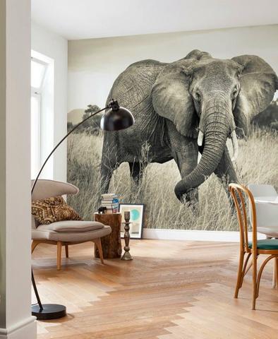 Download Banheiro costeira decoracao da parede HD