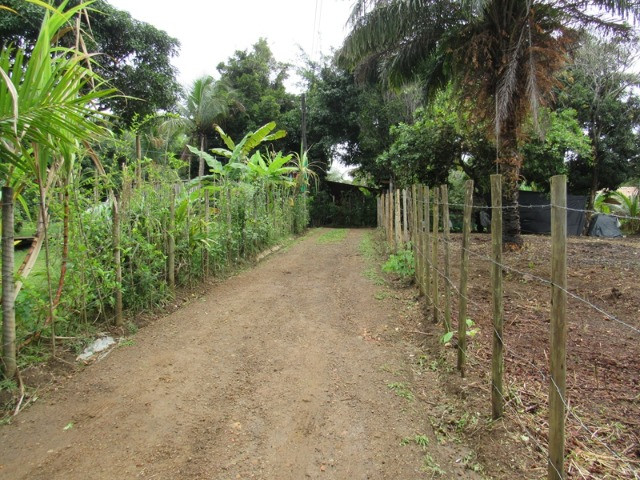 Terreno em Itacaré Bahia - Foto 3
