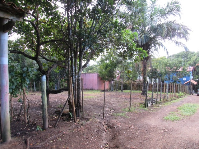 Terreno em Itacaré Bahia - Foto 2