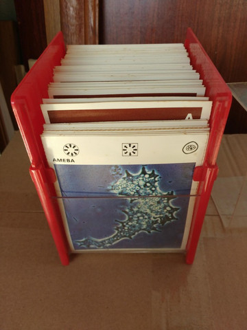 Colecao Mil Bichos - Vendo Cartoes Avulso - Foto 3