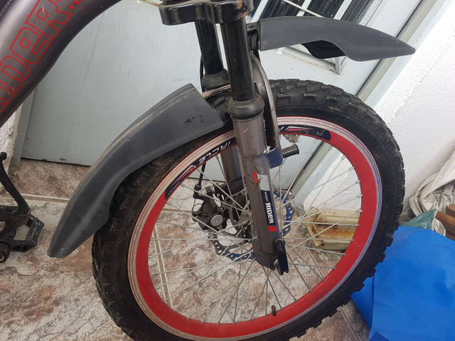 Bicicleta