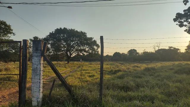 CHÁCARA 6 HECTARES  - Foto 3