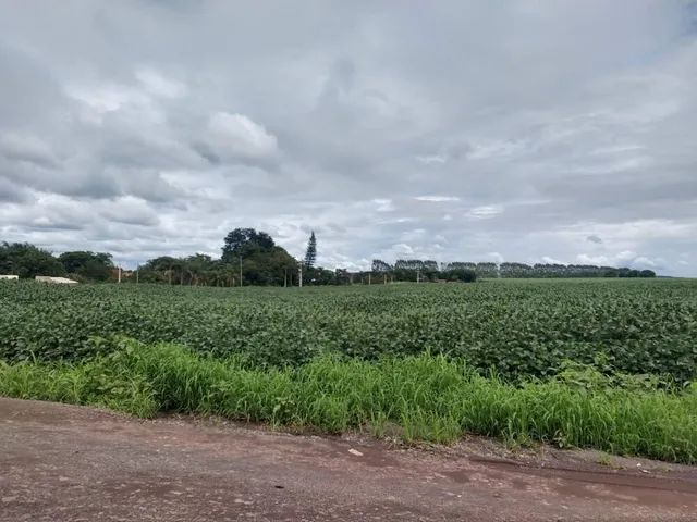 Área à venda, RODOVIA - Cordeirópolis/SP - Foto 2