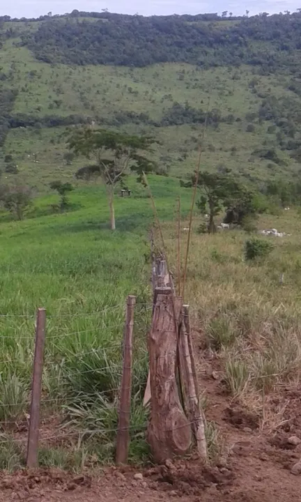 Fazenda em são francisco de Assis/ Barra do garças, 634 hect. 30 mil por hect.