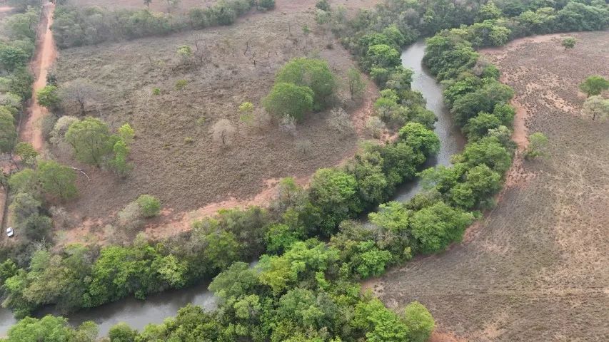 Pesqueiro de 2.9 Hectares em Corguinho-MS! - Foto 5