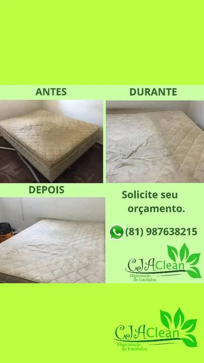 Lavagem a seco e higienização  - Foto 4