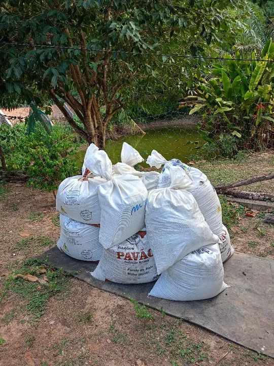 Sacos de estrume de galinha  - Foto 2