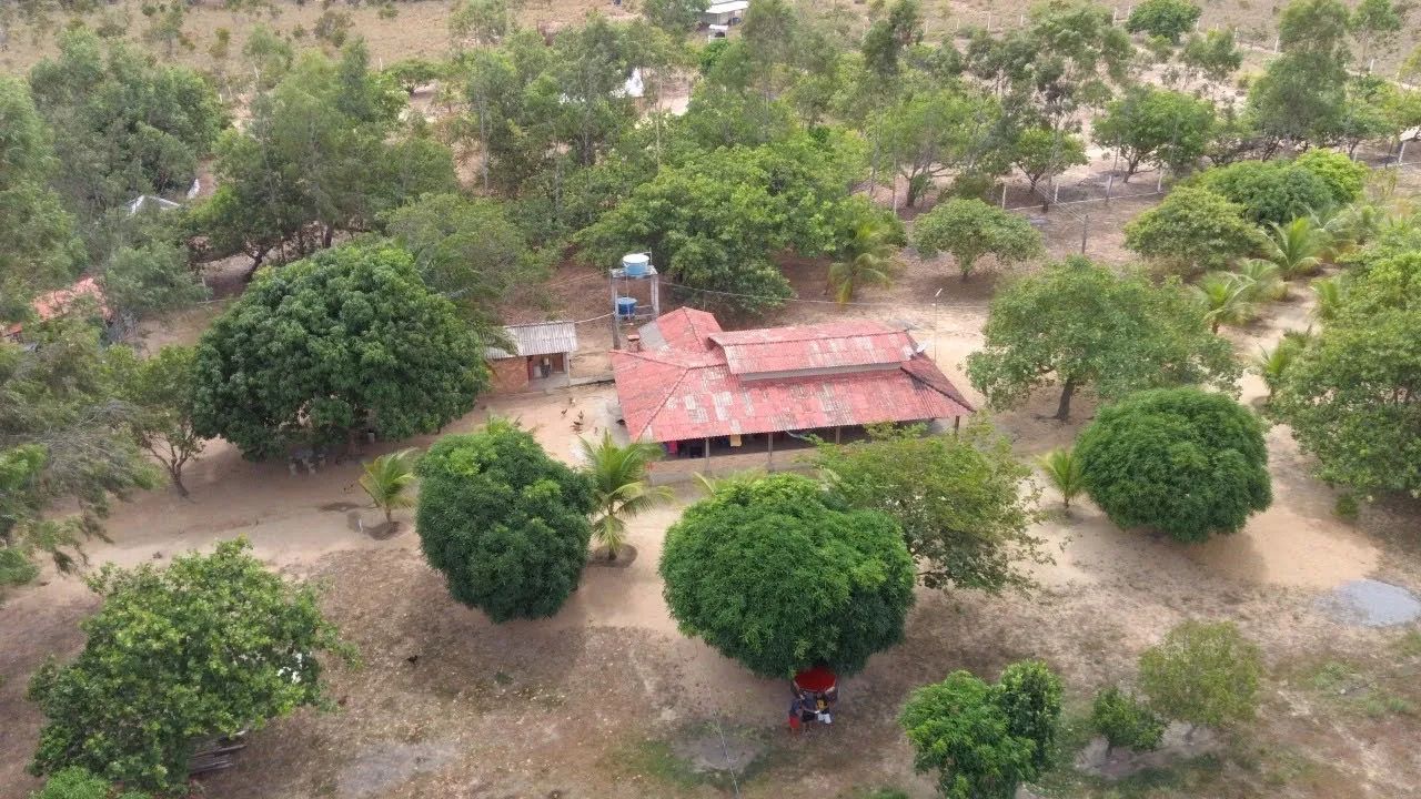 foto - Boa Vista - Cinturão Verde