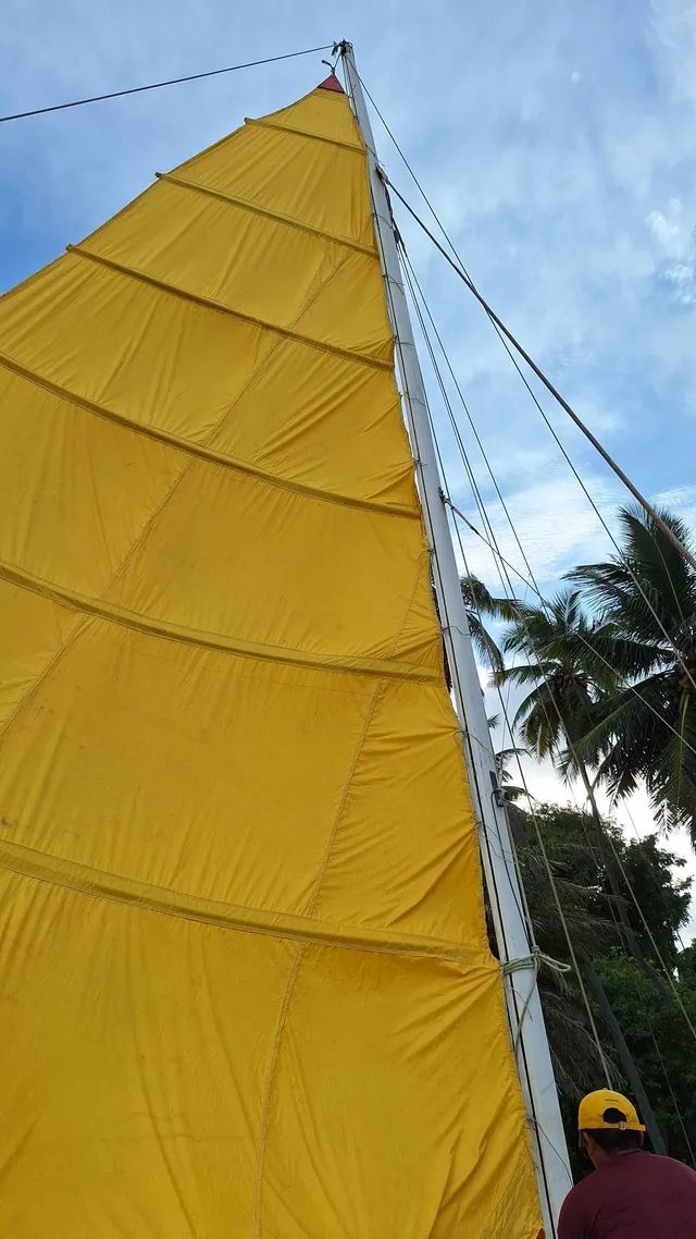 Trimarã Barco Catamarã completo documentado - Foto 12