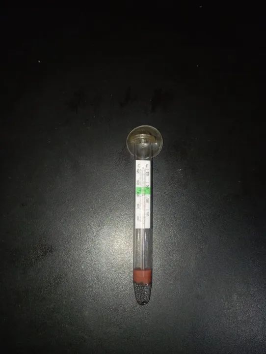 KIT aquário completo pronto para uso  - Foto 6