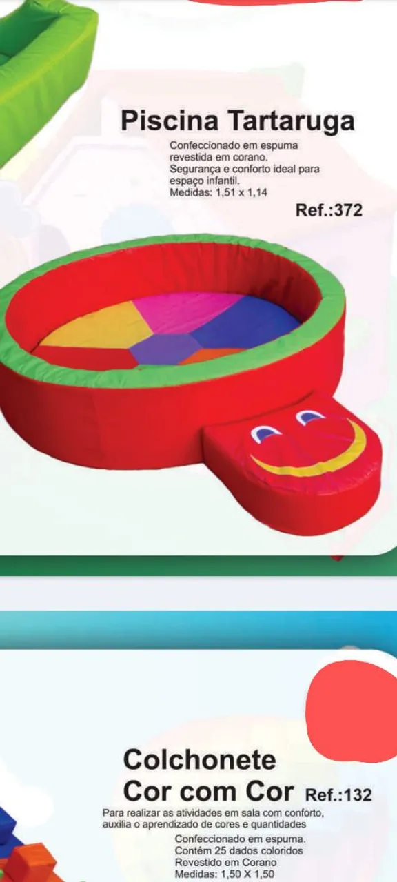 Piscina Tartaruga e Colchonete Didático
