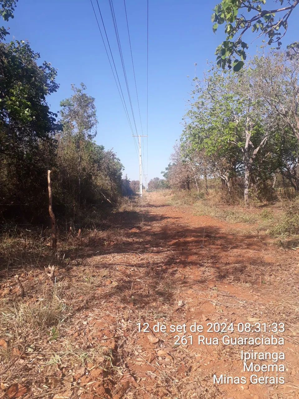 CAPINAS e  limpeza de lotes e grandes áreas.
