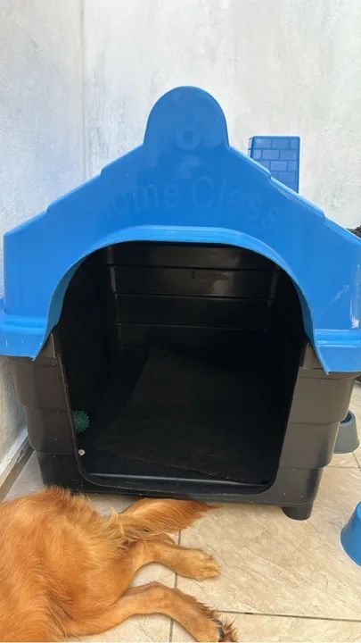 Casinha para Pet