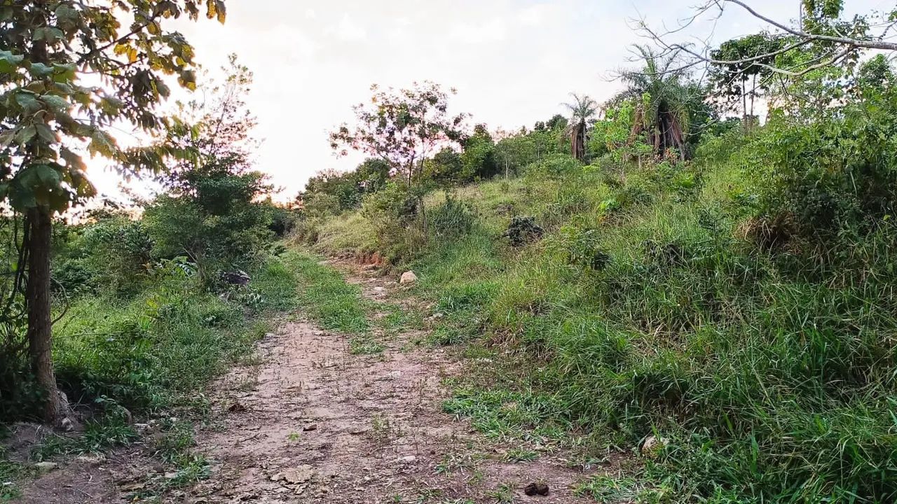 Terreno de 5 hectares em em serra azul  - Foto 3
