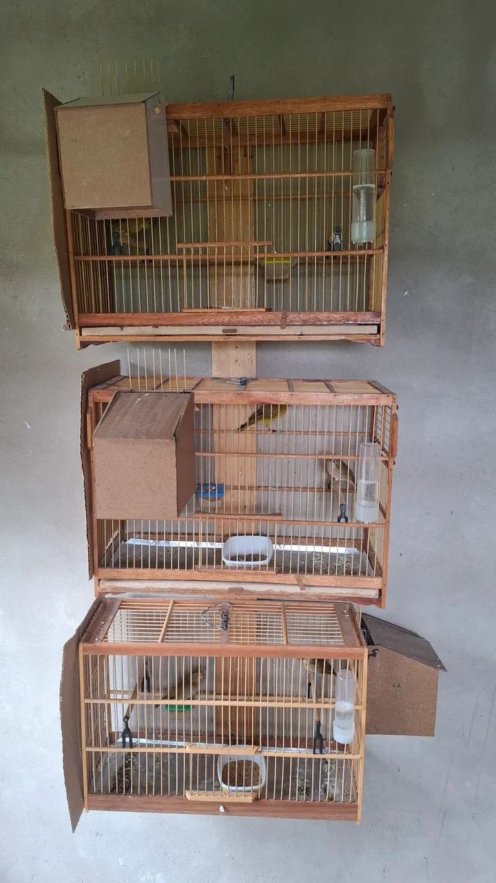 Cages 64313863752066122