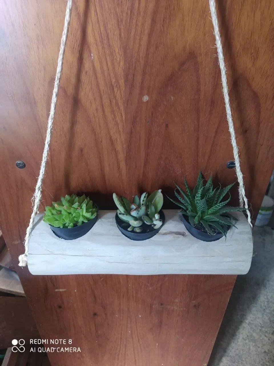 Vasos suculentas 64985890636673123