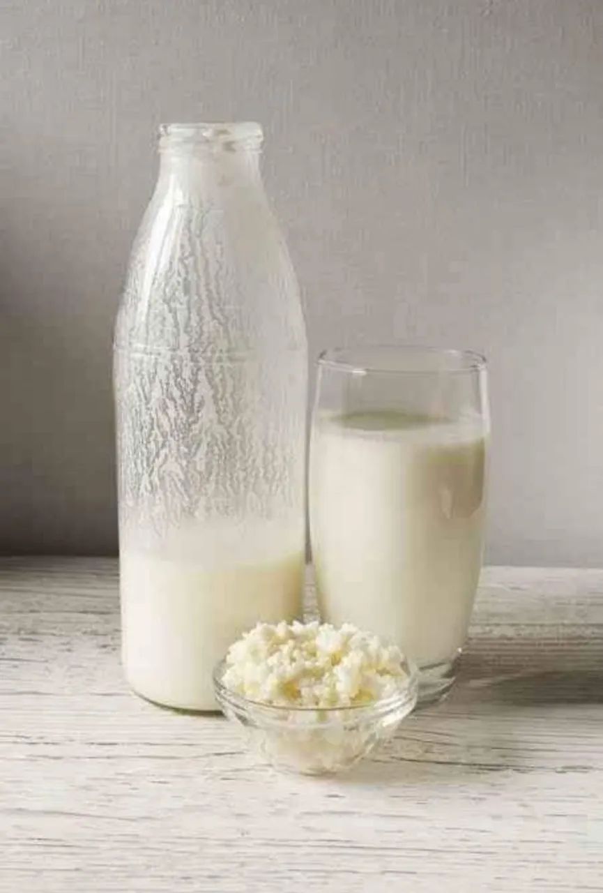 Kefir: O Probiótico Milagroso - Foto 4
