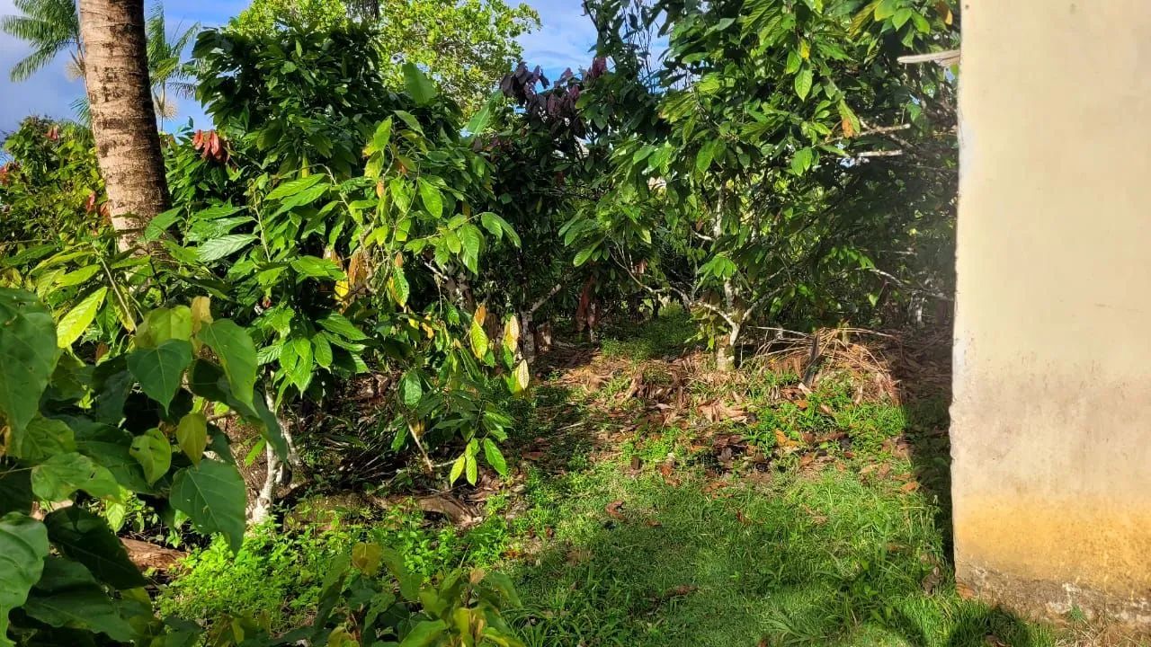 Vendo sítio em Valença Bahia  - Foto 2