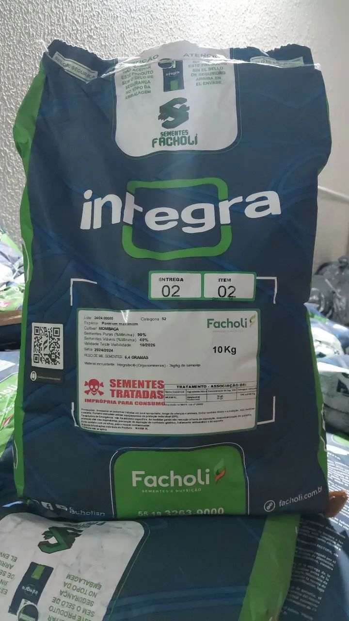Semente de capim Mombaça revestida 10kg - Facholli