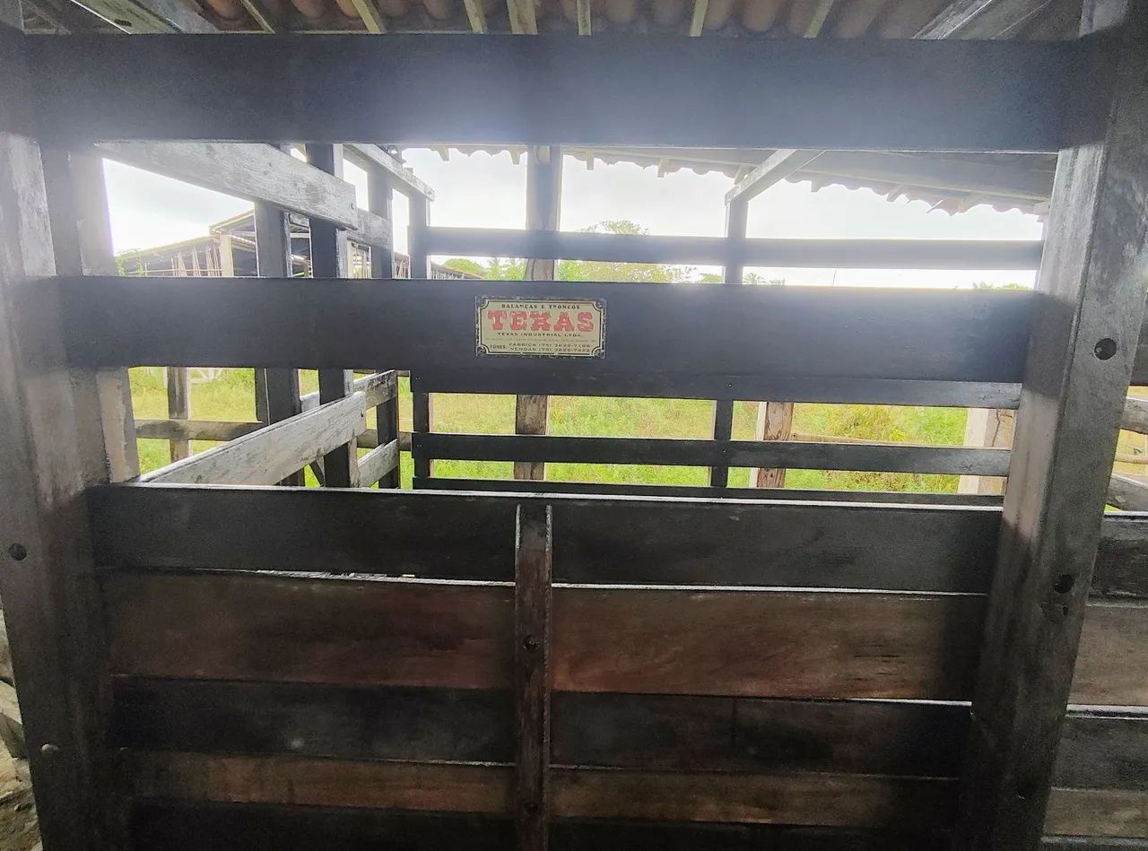 Balança mecânica Texas modelo B4 p/04 a 06 animais