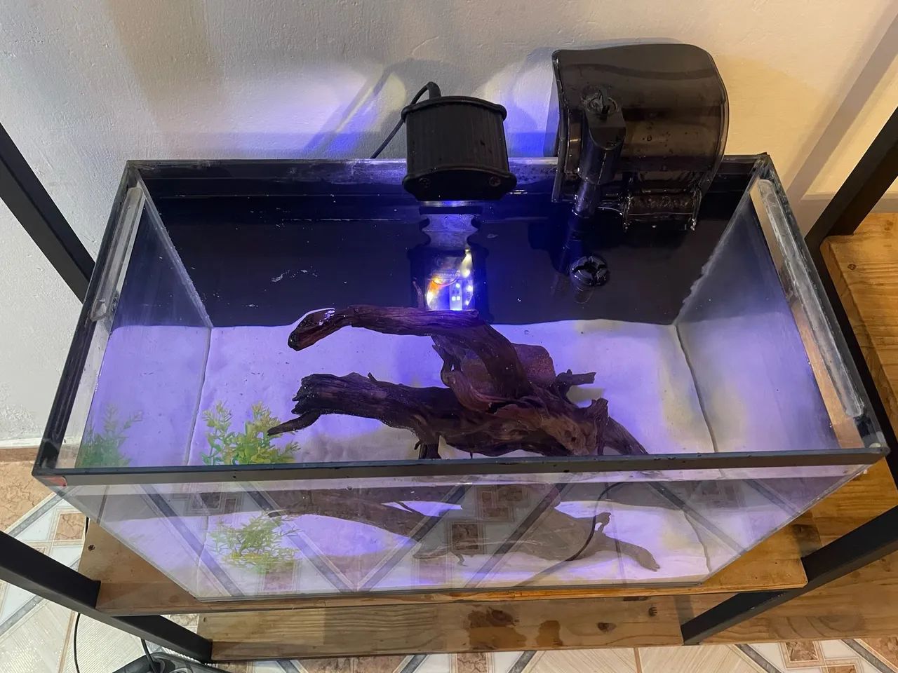 Aquário de água Doce - Foto 3
