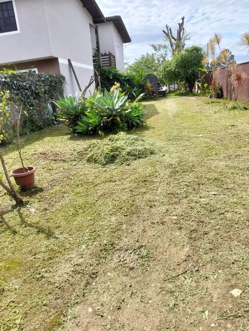 Jardim verde e bem cuidado!