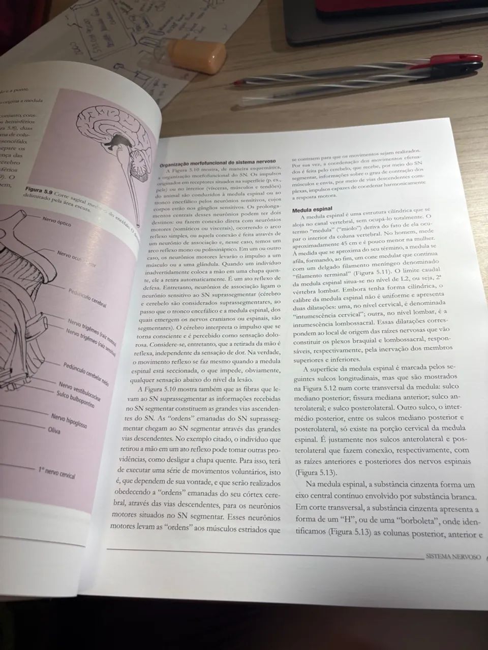 Livro Anatomia  Dangelo e Fattini 4ª Edição - Foto 2
