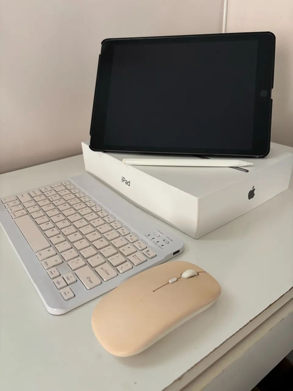 Ipad 9 Apple Cor Chumbo Completo!