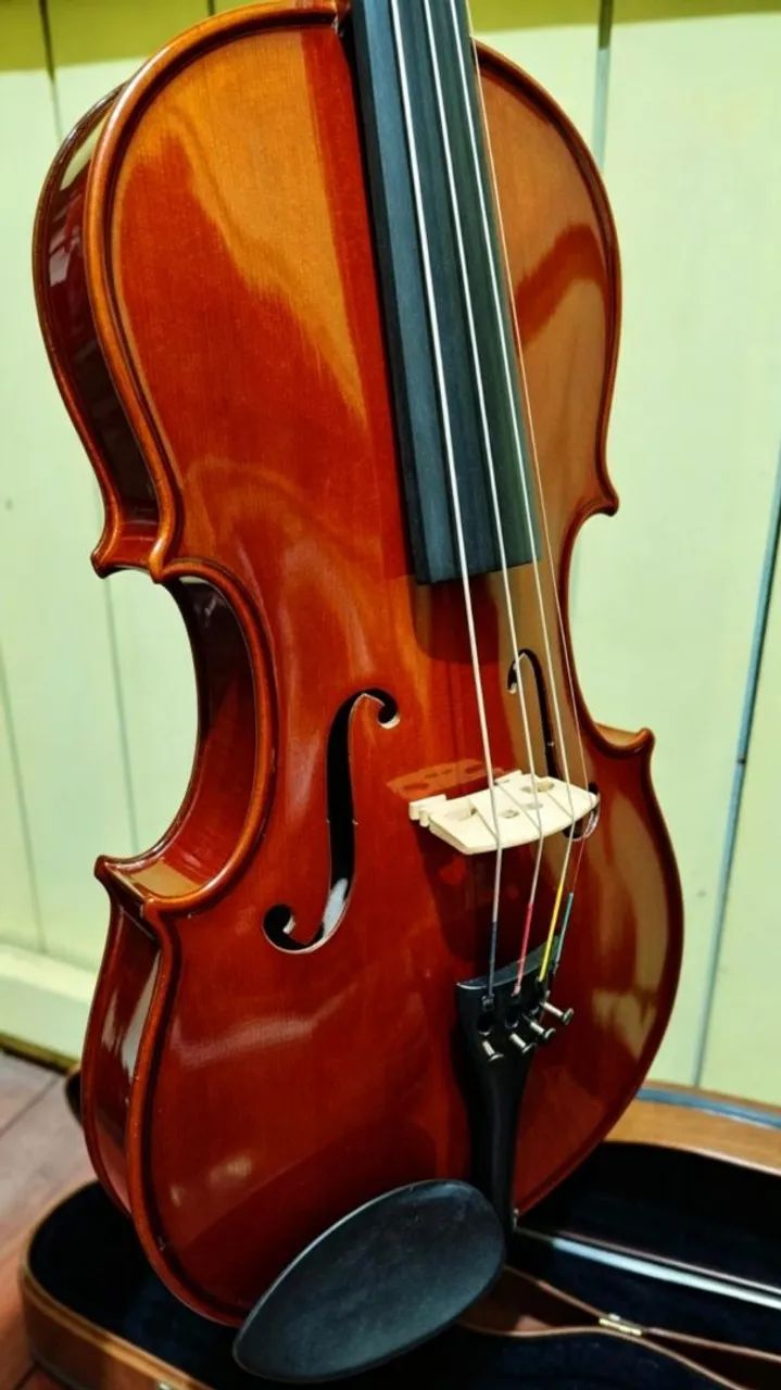 Viola Parrot Tamanho 41