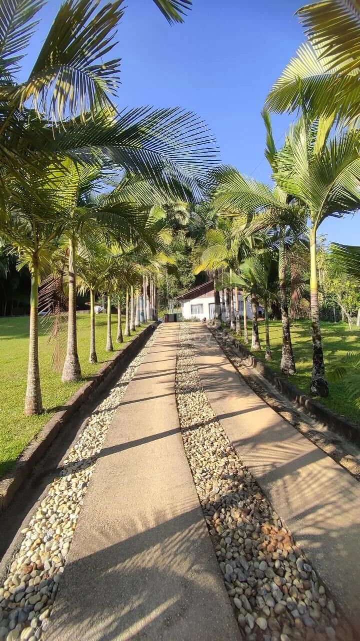 Sítio à venda em São João Batista/SC - Foto 2