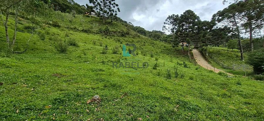 SÍTIO EXCLUSIVO COM CACHOEIRAS EM ITAMONTE-MG - Foto 3