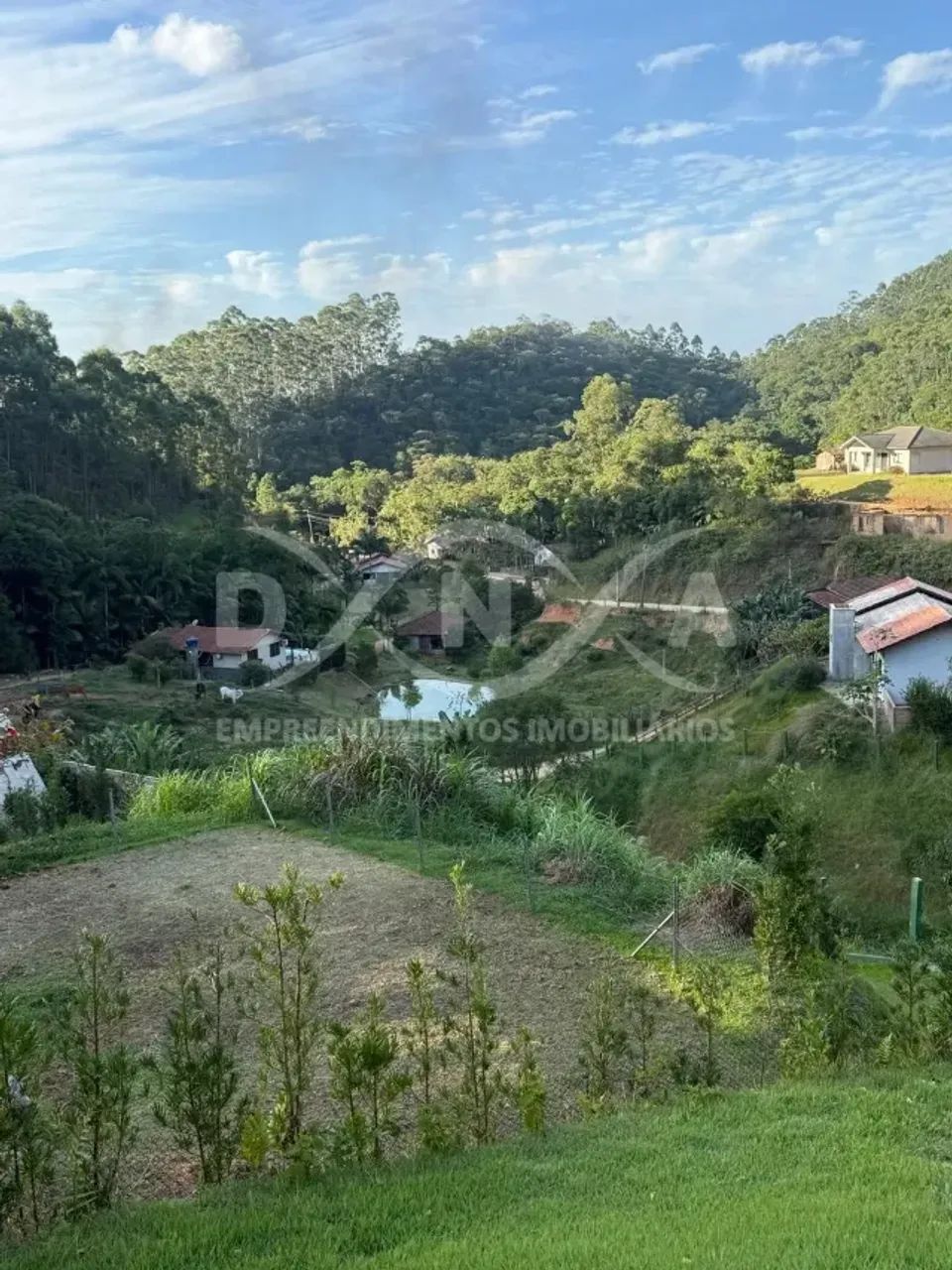 Sitio com 1050m² - Moura, Canelinha/SC - Foto 4