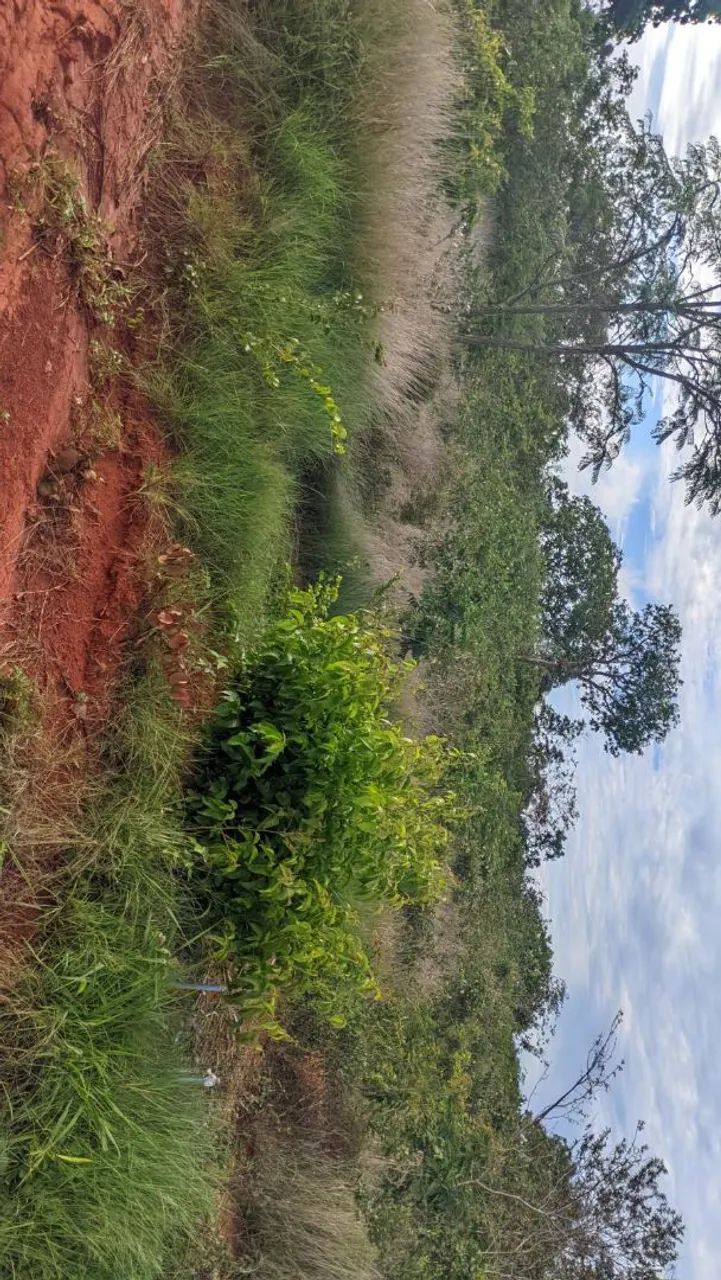 Chapada do sol  - Foto 2